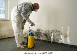 Best Mold Remediation for Healthcare Facilities  in Pagedale, MO